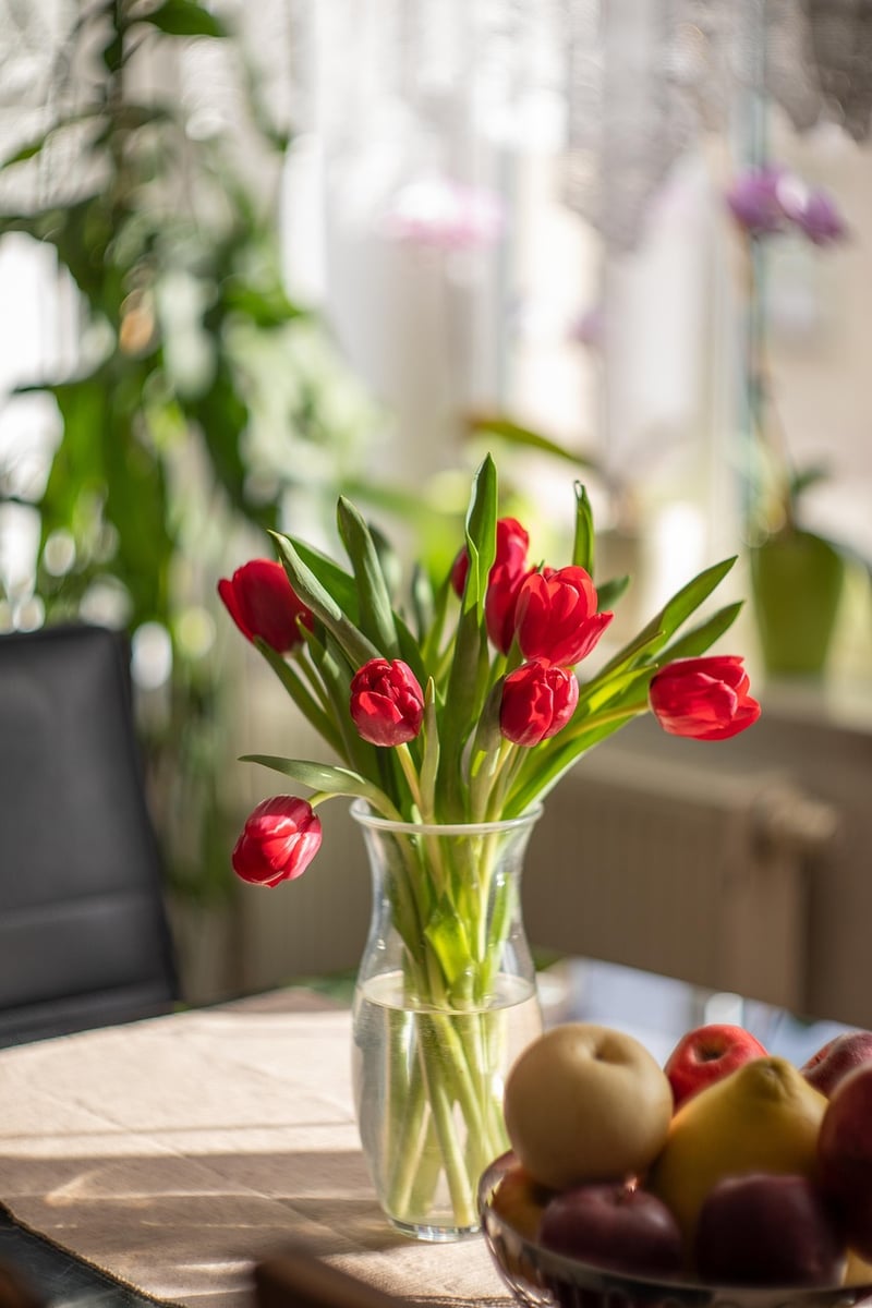 Indoor Plant Arrangements